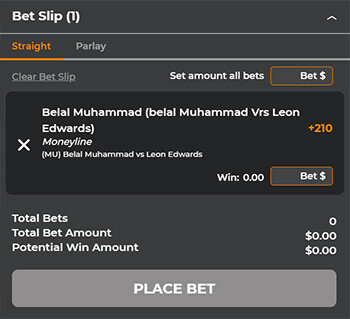 UFC Bet Slip From MyBookie