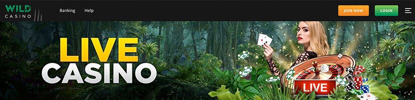 wild casino live banner