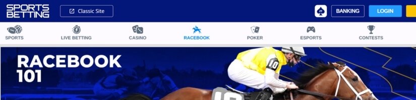 Great perks for horse racing bettors can be hard to find. For instance, Bovada does not offer any racing-specific promotions. Many sportsbooks prioritize NFL, NBA, or MLB betting, often overlooking the perks racing enthusiasts would appreciate. However, Sportsbetting.ag offers some incredible deals for horse race betting.