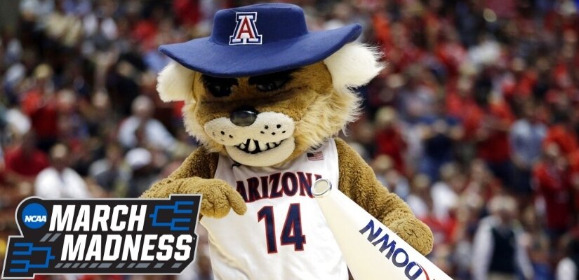 The Arizona Wildcat mascot making an appearance at March Madness.