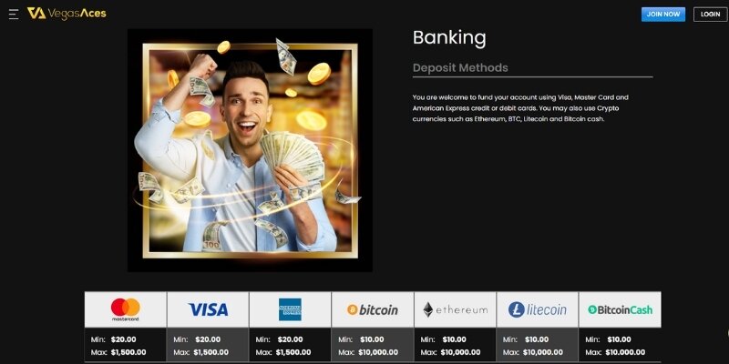 A review screenshot highlighting the variety of slot games at Vegas Aces.