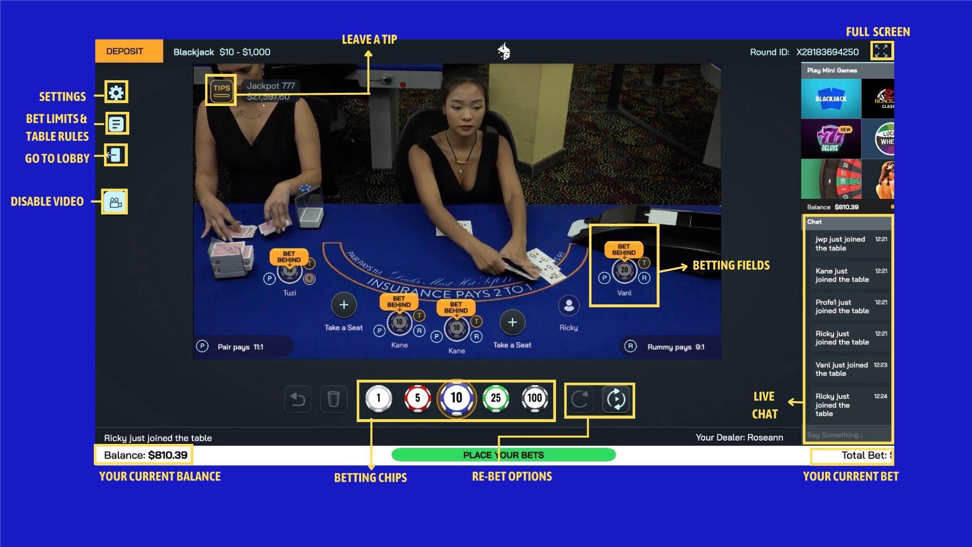 Annotated live dealer blackjack table.